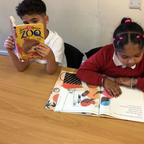 Reading for pleasure